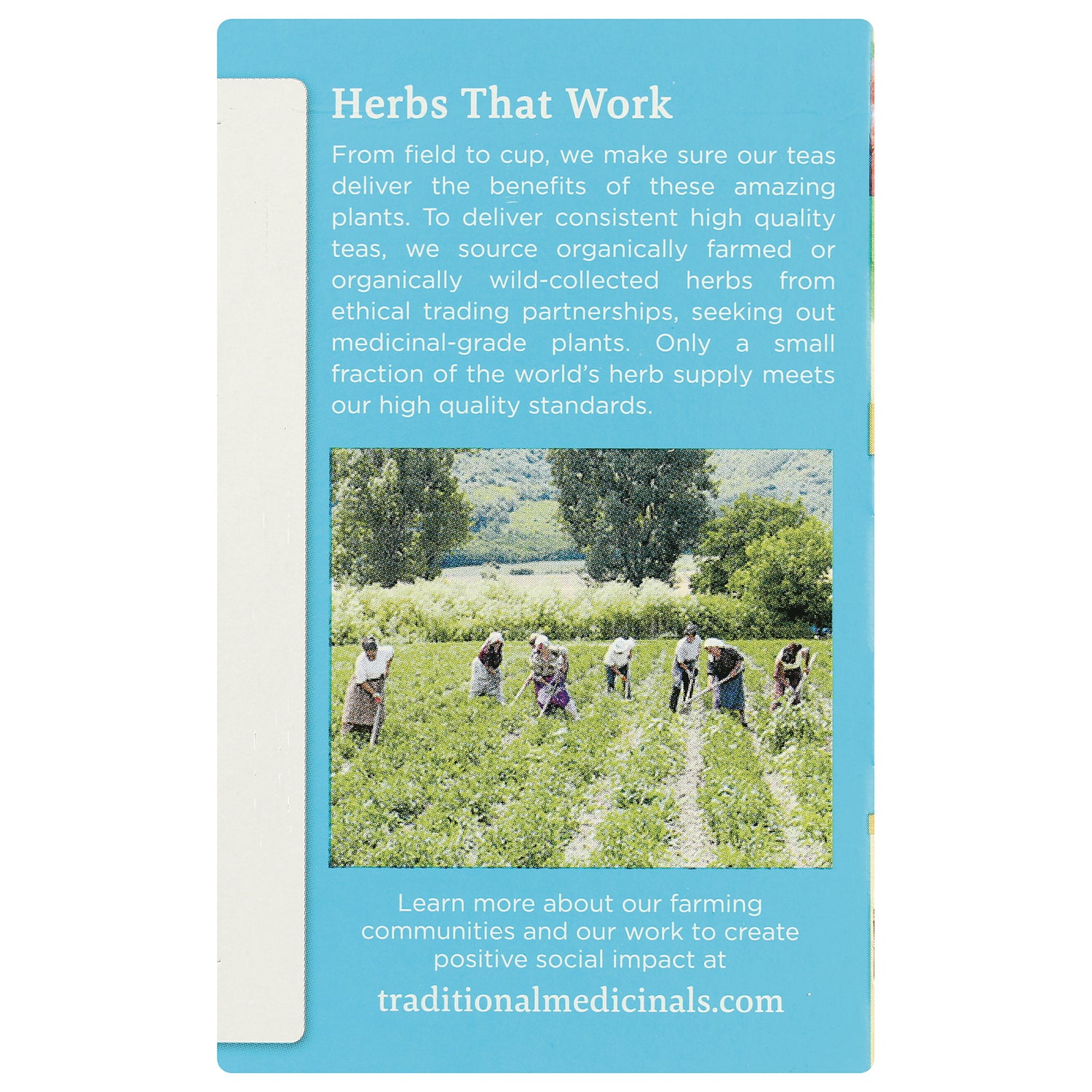 TMD010 | Box panel with Herbs That Work story, photo of farmers harvesting herbs, and URL traditionalmedicinals.com