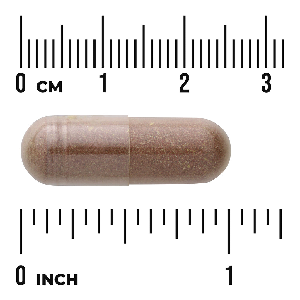 SW1057 | Brown capsule with size guide, rulers labeled cm and inch - Thumbnail