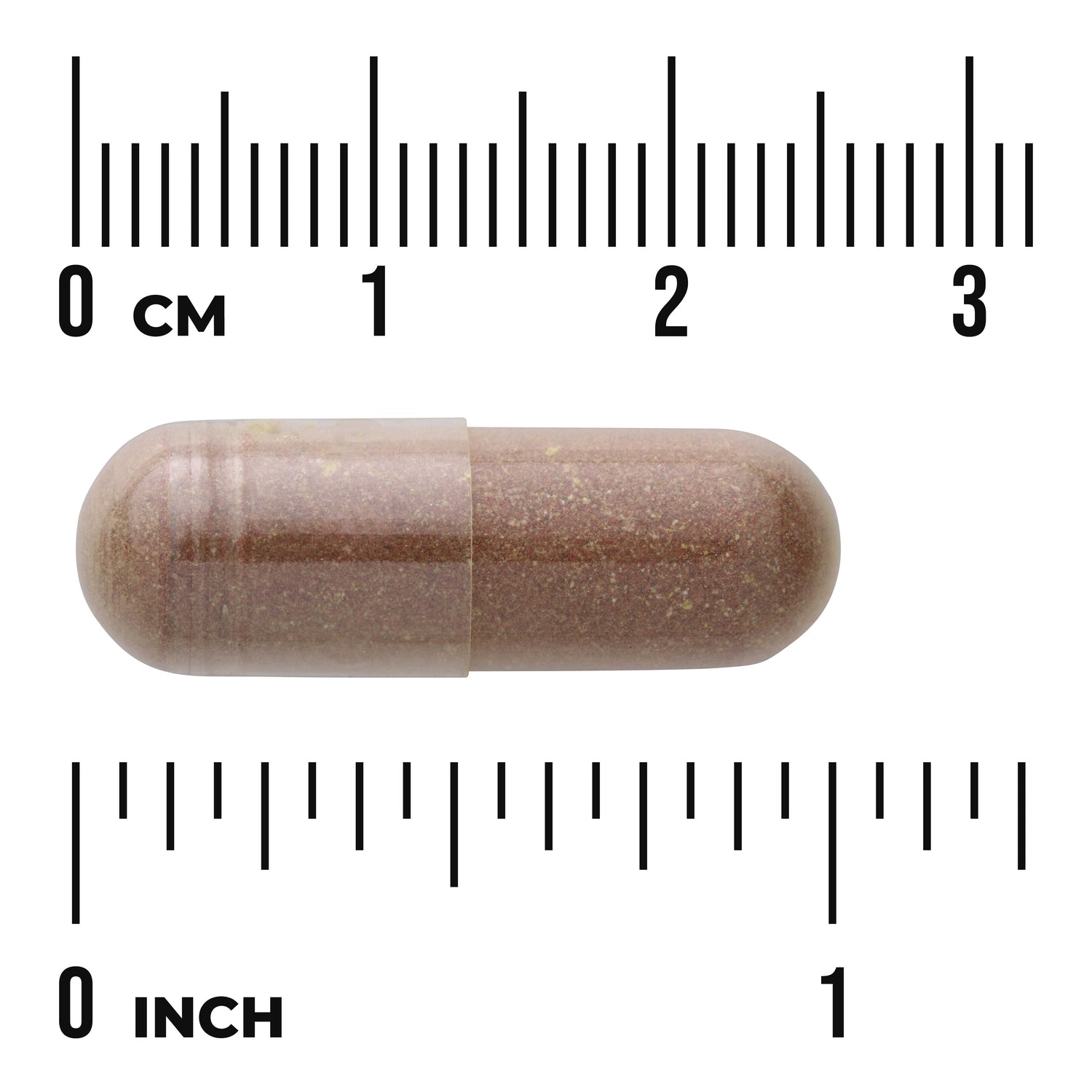SW1057 | Brown capsule with size guide, rulers labeled cm and inch