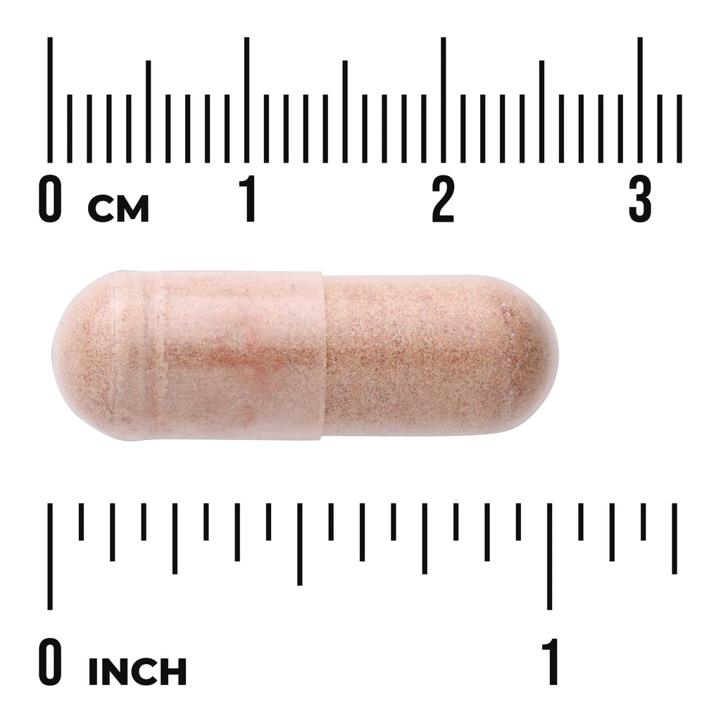 SW1917 | Beige powder-filled capsule against ruler showing cm and inch scale - Thumbnail