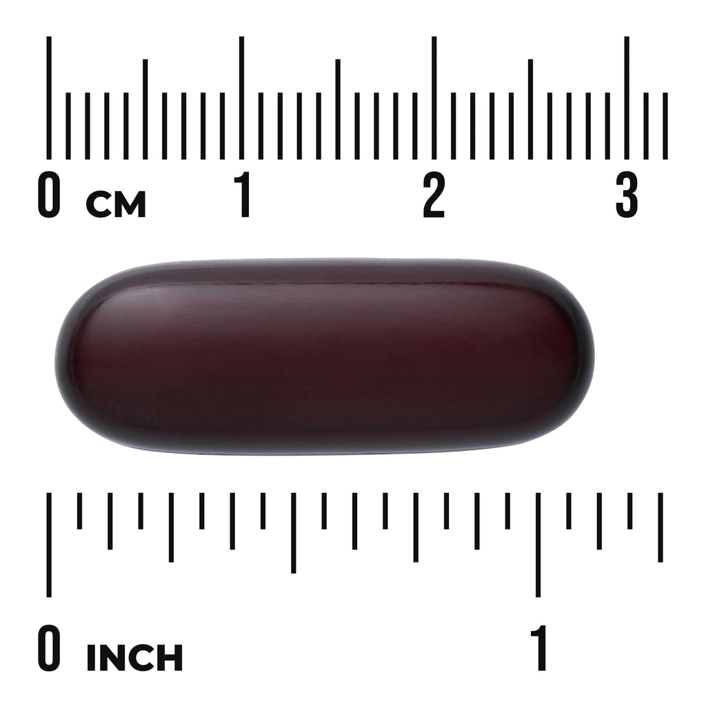 SWU083 | Dark brown oblong softgel capsule centered between centimeter and inch rulers with visible text "CM" and "INCH" - Thumbnail