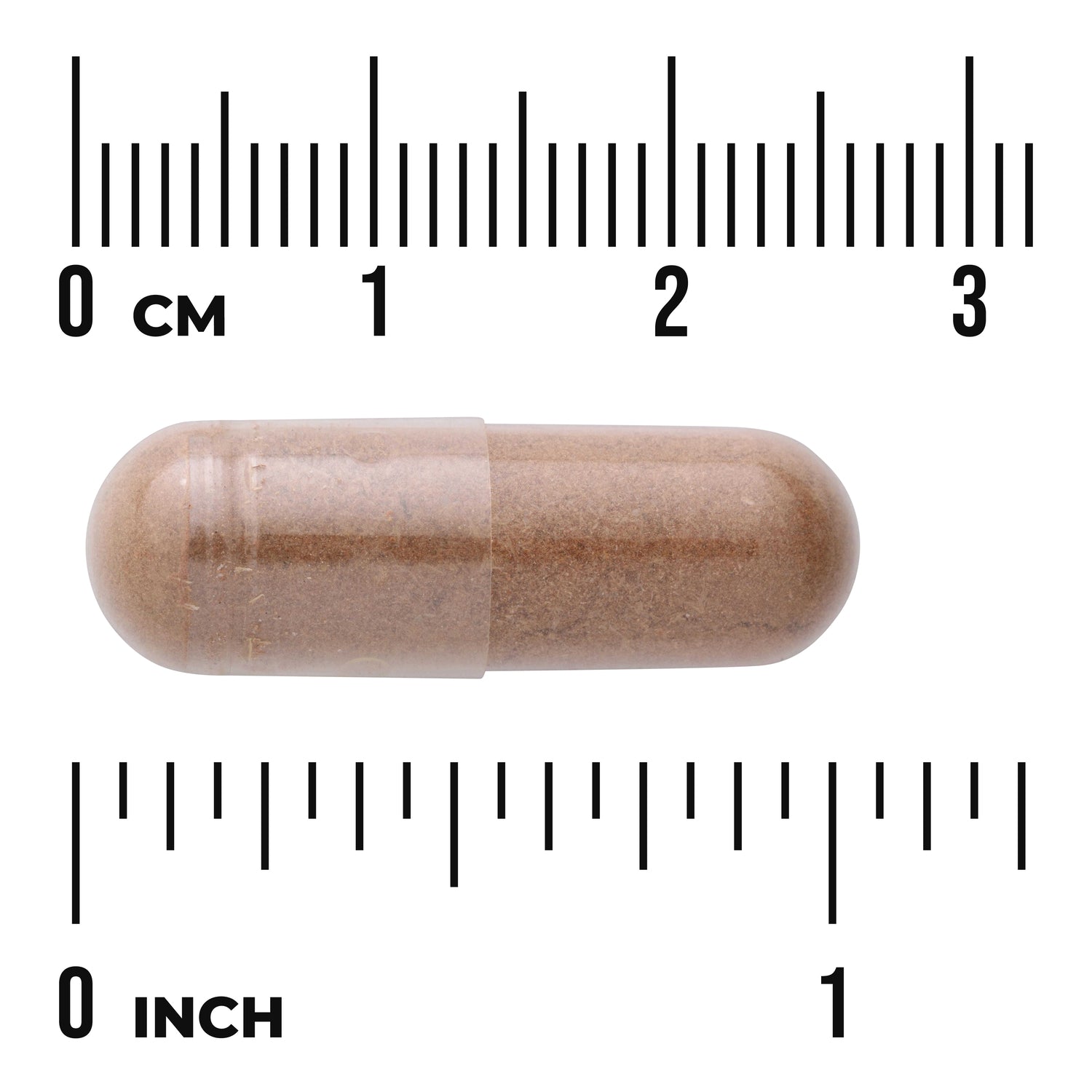 SW1356 | Brown powder-filled capsule on white background with centimeter and inch rulers showing size