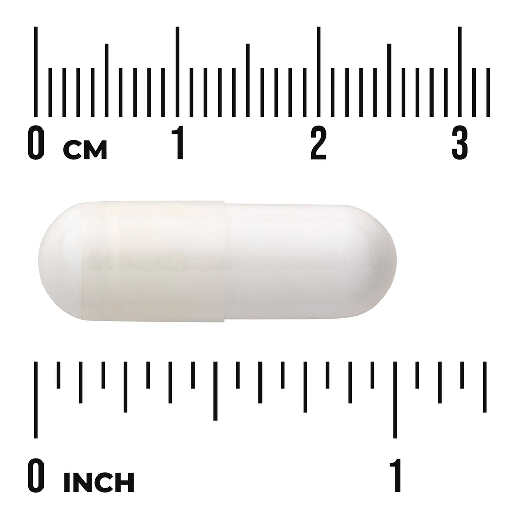 SWU064 | White capsule shown with rulers in centimeters and inches to indicate size - Thumbnail