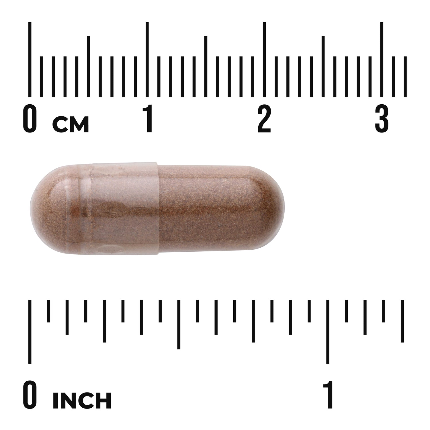 SW1752 | Brown capsule with powder shown next to cm and inch rulers for size reference