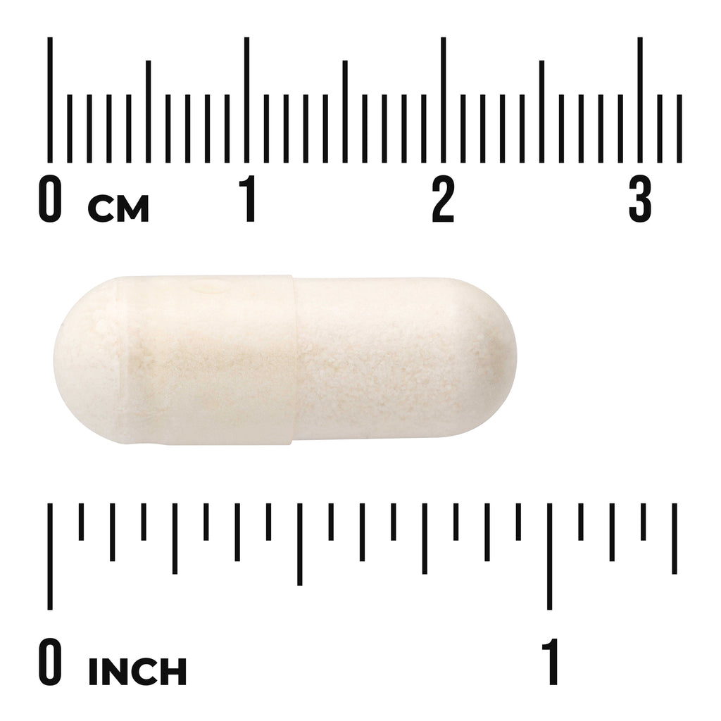 SWU777 | Beige capsule shown with centimeter and inch rulers for size reference - Thumbnail