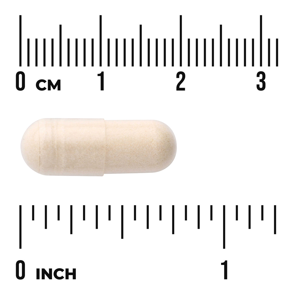 SWU445 | Beige capsule shown next to centimeter and inch rulers to indicate size - Thumbnail