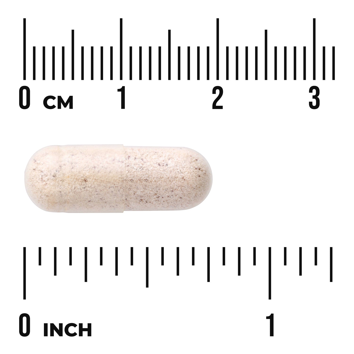 SW980 | Powder-filled capsule shown with metric and inch rulers, 03 cm and 01 inch