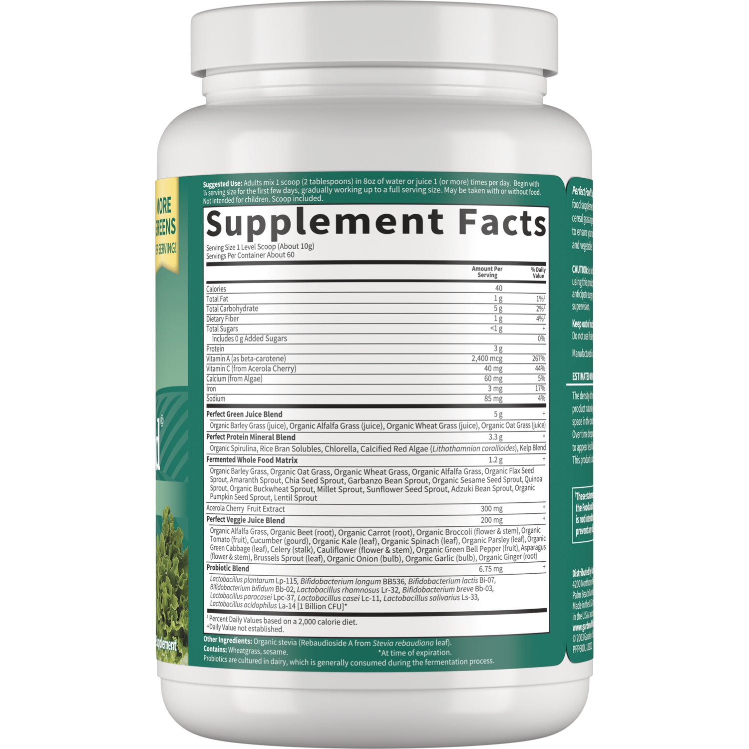 GLF031 | Supplement Facts nutrition label and ingredient panel on the back of a white and green supplement jar