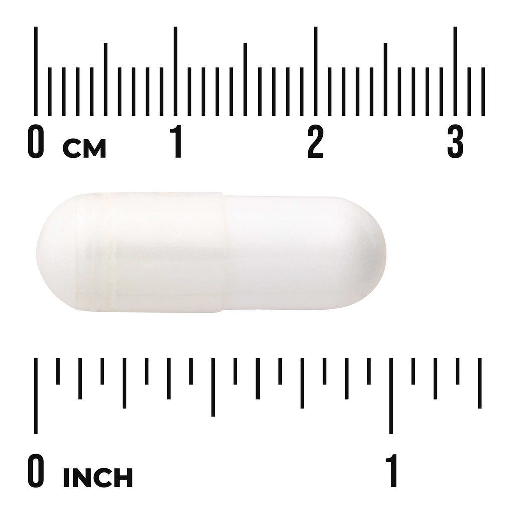 SWU464 | White capsule with size scale showing 0-3 cm and 0-1 inch - Thumbnail