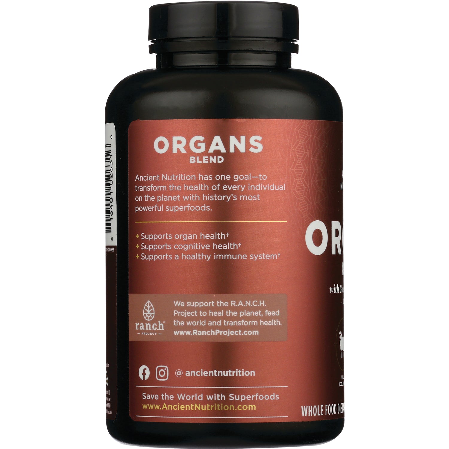 ATN099 | Back label of Ancient Nutrition Organs Blend bottle showing ORGANS BLEND heading, benefit bullets, and R.A.N.C.H. project blurb