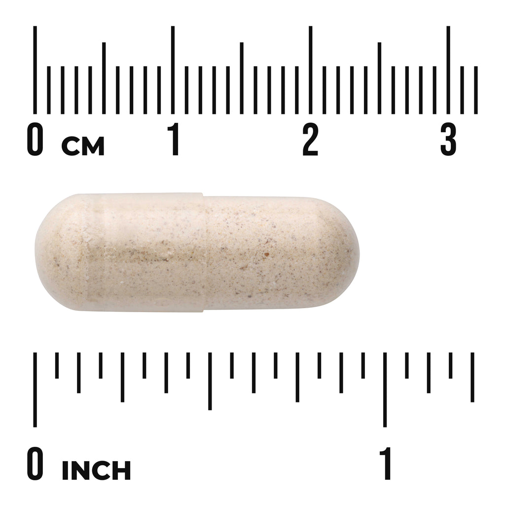 SWG23 | Beige supplement capsule on measurement scales showing 0â€“3 cm and 0â€“1 inch - Thumbnail