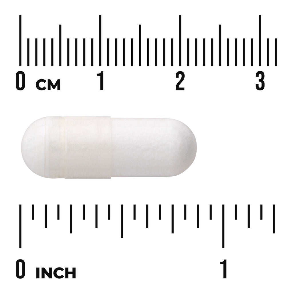 SWU454 | White capsule shown with 03 cm and 01 inch rulers for size reference - Thumbnail