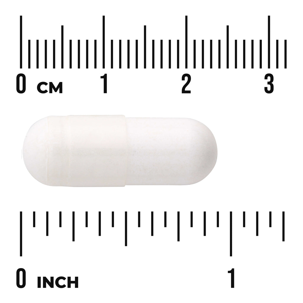 SWU665 | White capsule shown with centimeter and inch rulers for size reference - Thumbnail