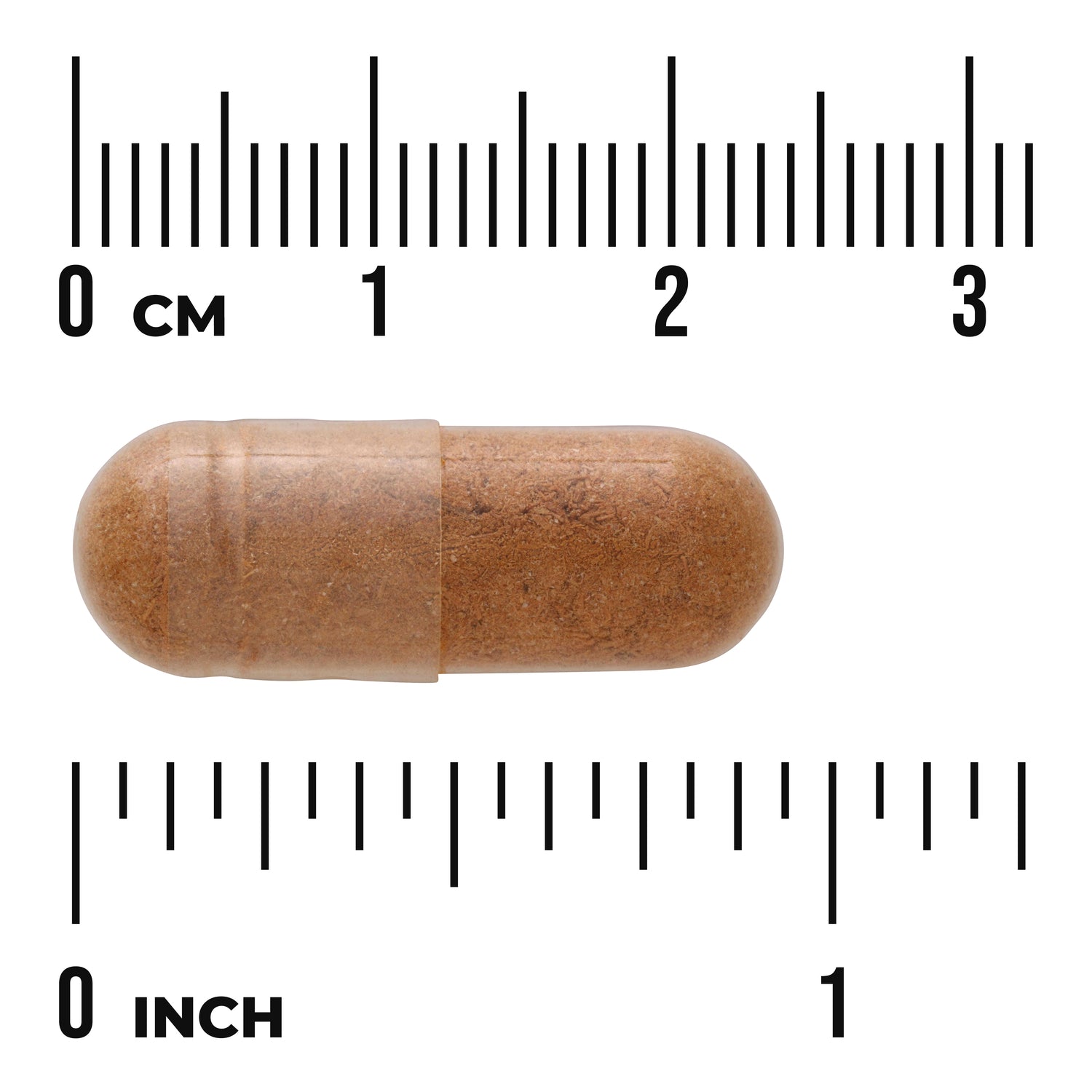 SW1630 | Brown capsule shown with centimeter and inch rulers for size