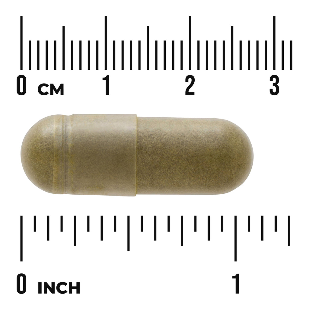 Full Spectrum Moringa Oleifera - Thumbnail