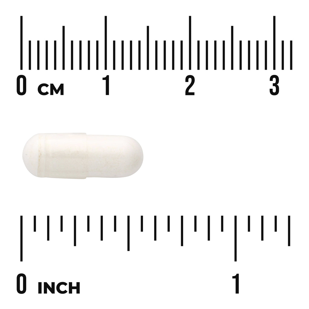 SW1709 | White capsule shown with size scale in cm and inches - Thumbnail