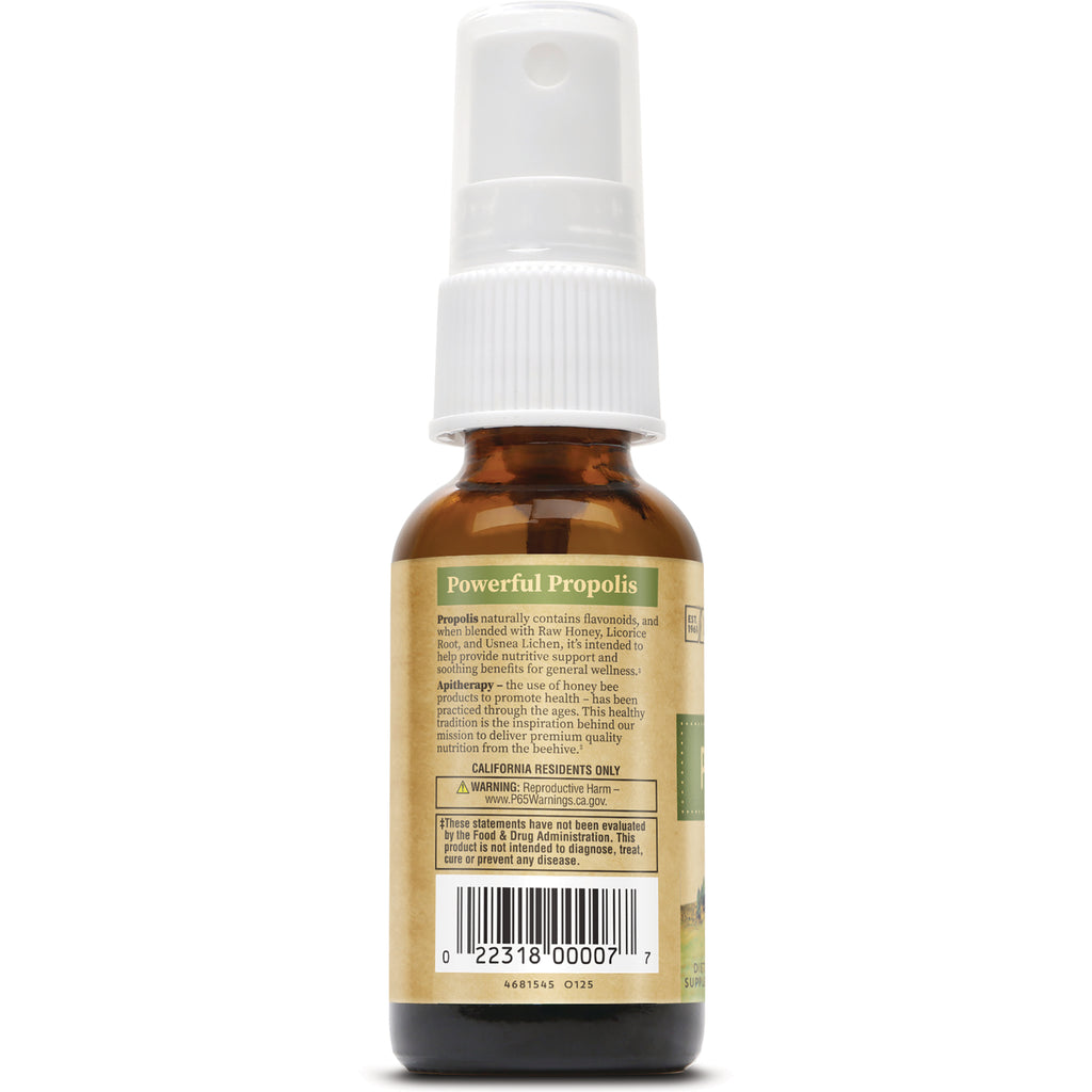 HGR003 | Back label of brown spray bottle reading Powerful Propolis with barcode and warning text - Thumbnail