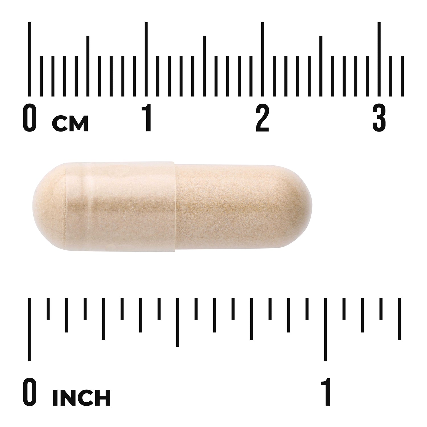 SWH142 | Beige capsule shown with cm and inch rulers for size reference