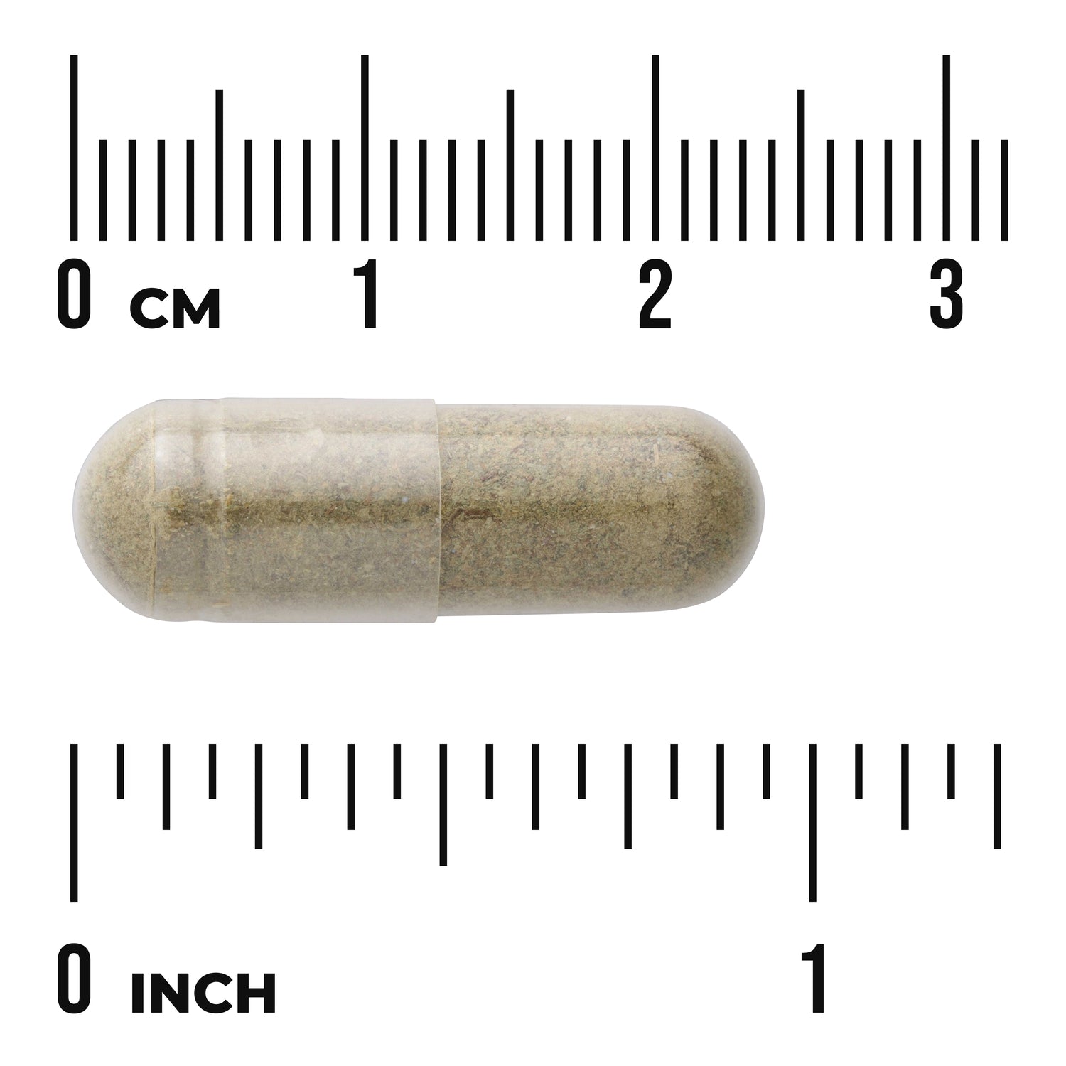 SW1112 | Brown capsule shown with cm and inch rulers for size reference