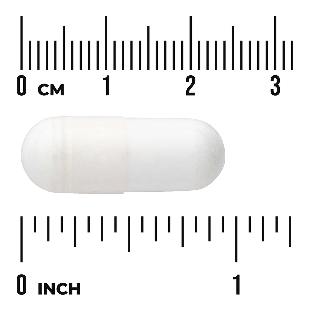 SWU341 | White capsule shown with centimeter and inch rulers - Thumbnail