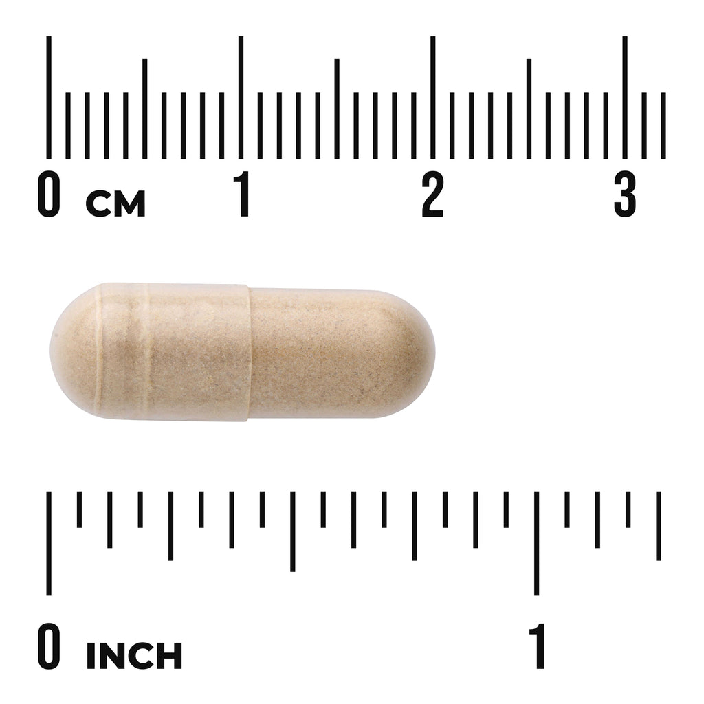 SWD060 | Beige capsule shown next to cm and inch rulers to illustrate size - Thumbnail