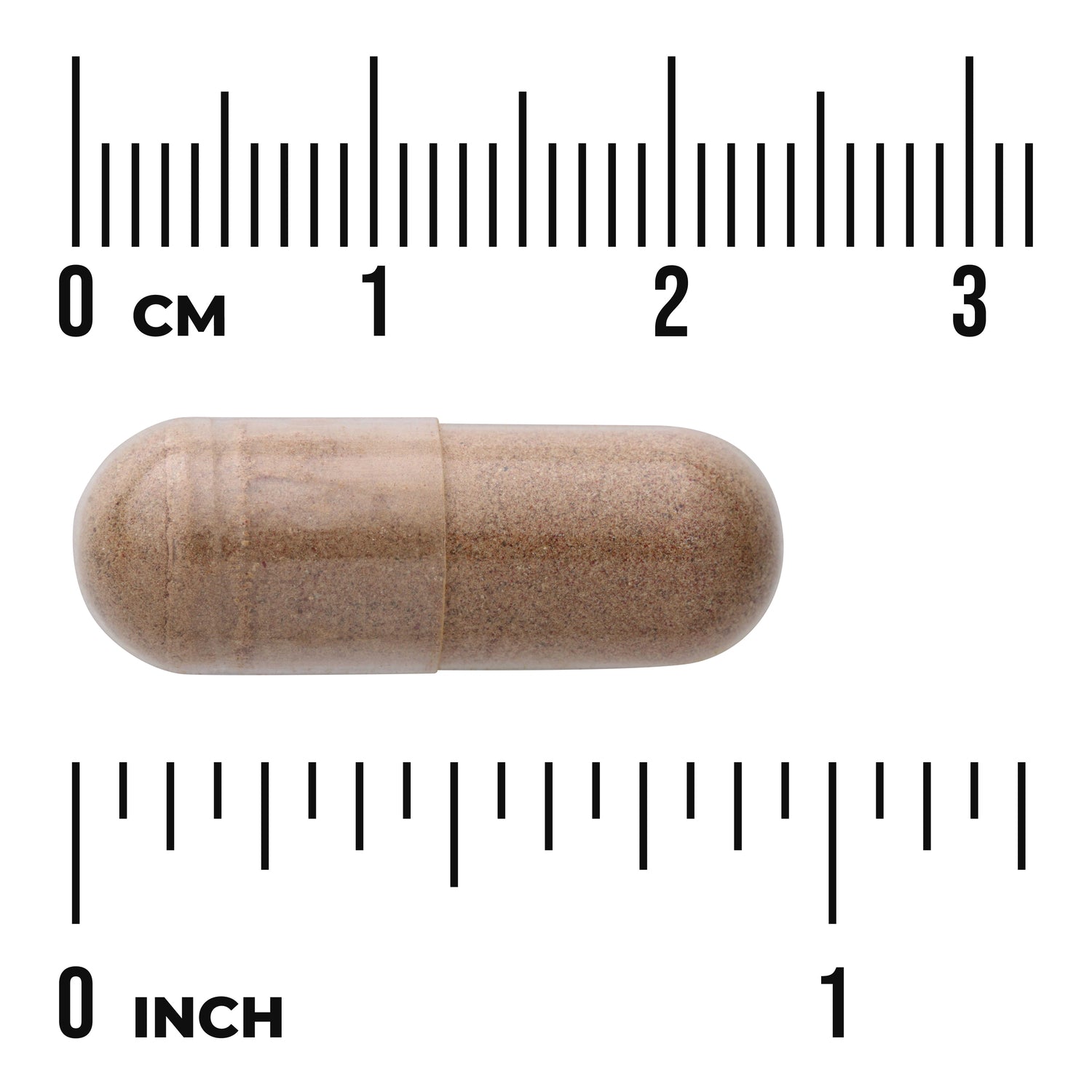 SW1707 | Brown capsule shown with size scale in centimeters and inches
