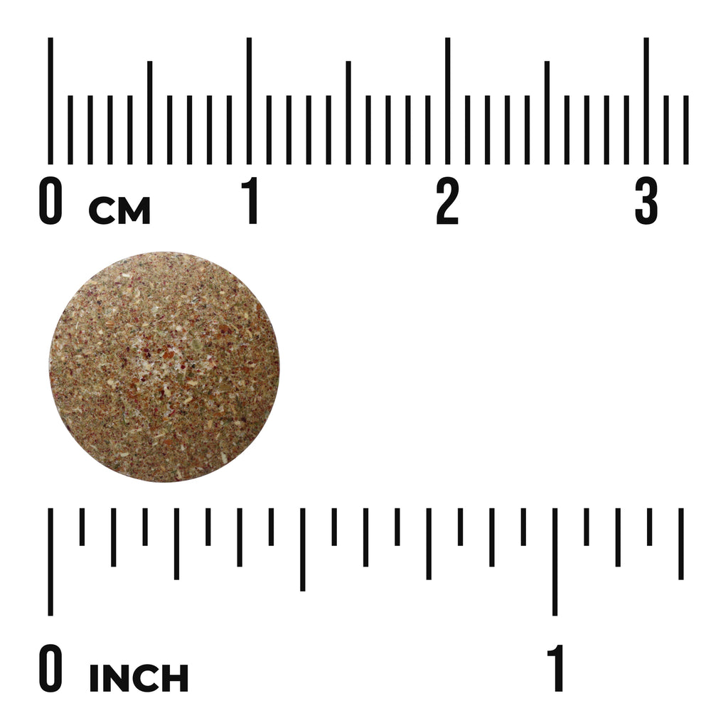 SWR016 | Round speckled tablet shown next to ruler markings in cm and inches - Thumbnail
