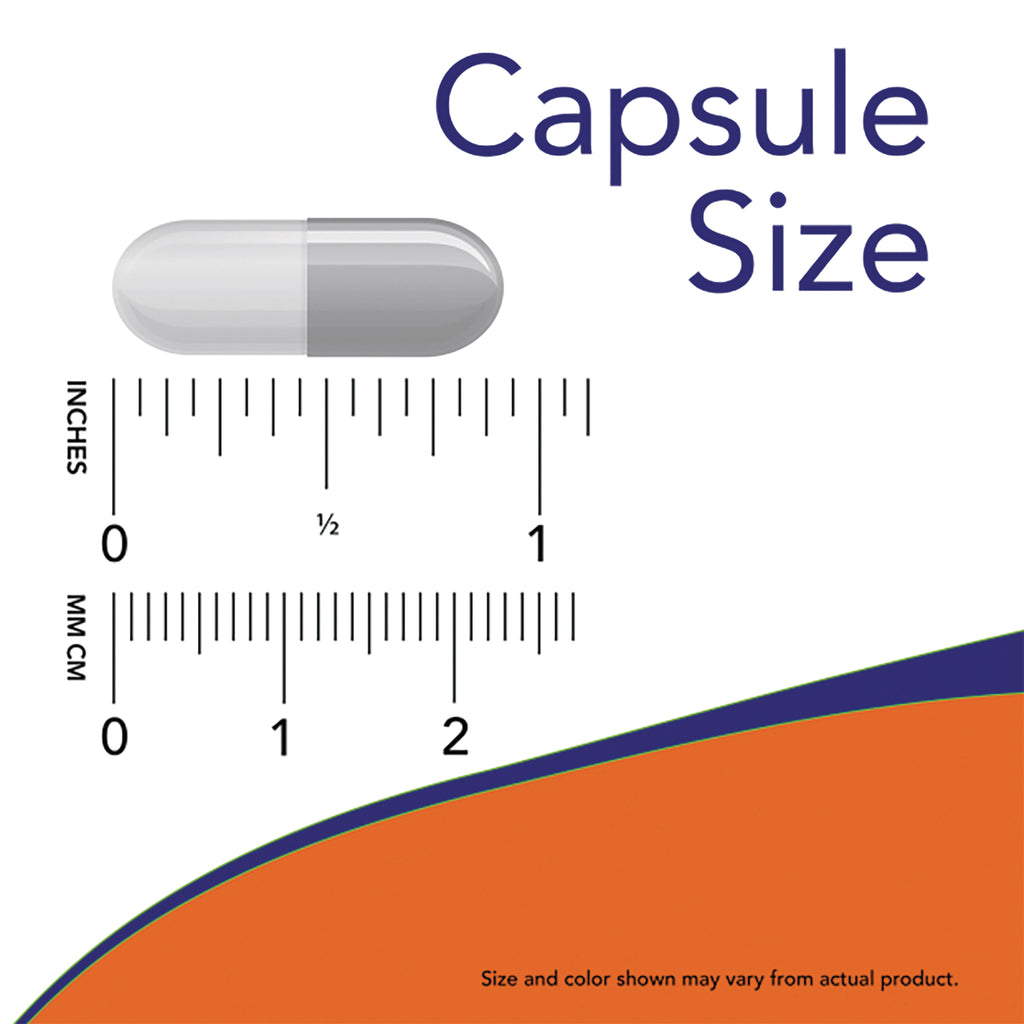 NWF1377 | gray capsule shown next to inch and cm rulers labeled Capsule Size - Thumbnail