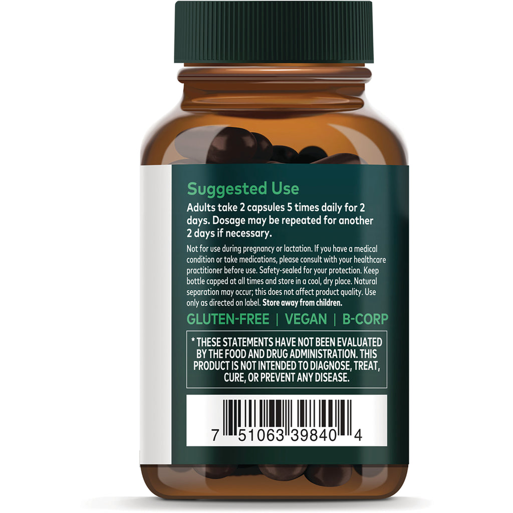 Echinacea Supreme - Thumbnail