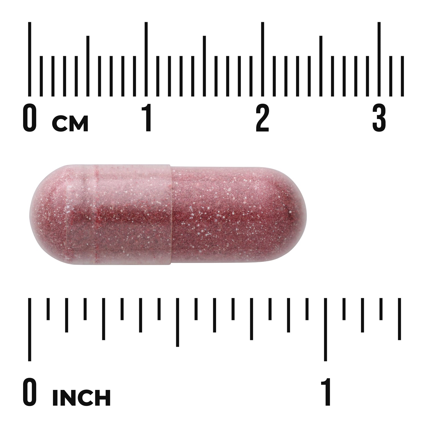 SWU522 | Burgundy capsule shown with cm and inch rulers for size reference