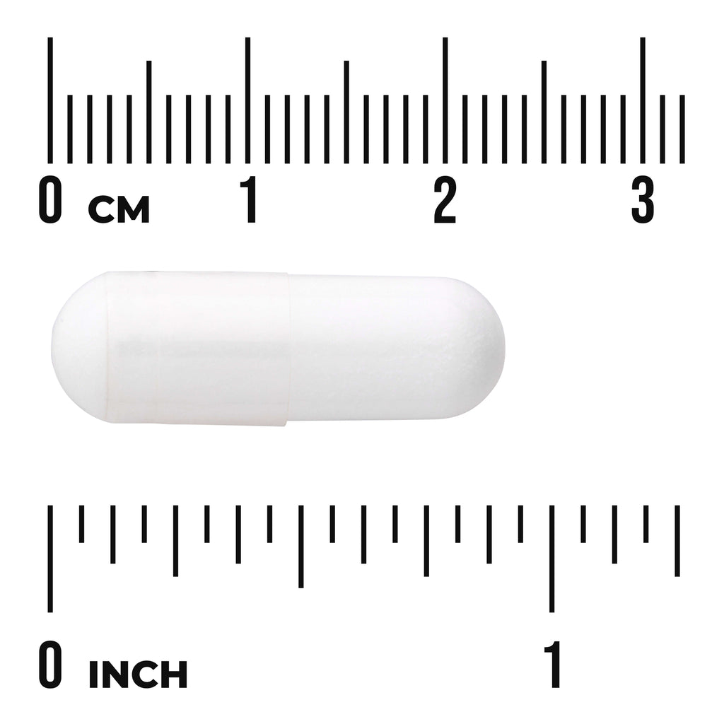 SWA039 | White two-piece capsule centered between centimeter and inch rulers to show size - Thumbnail