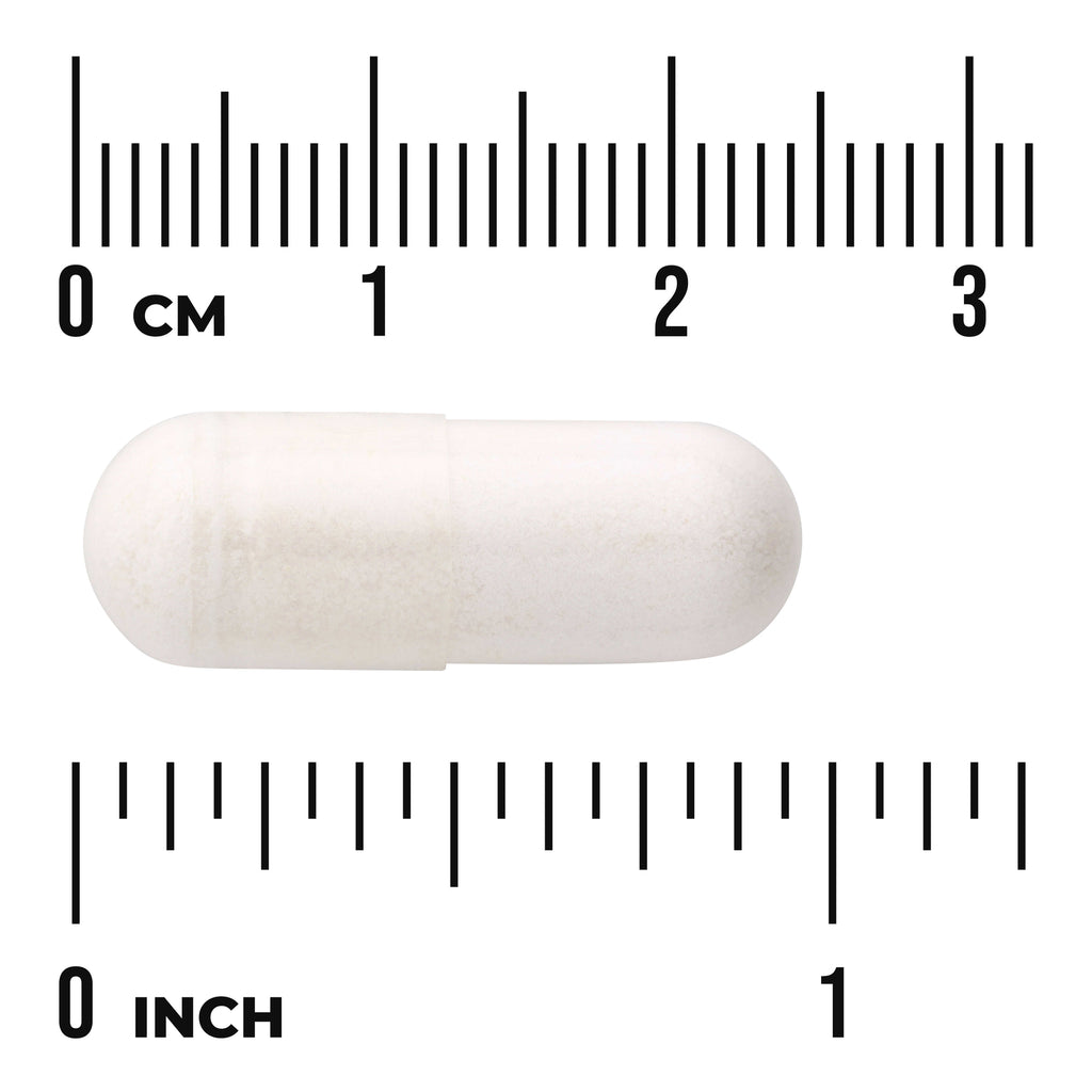 SW1545 | White capsule with size reference, centimeter and inch rulers shown - Thumbnail