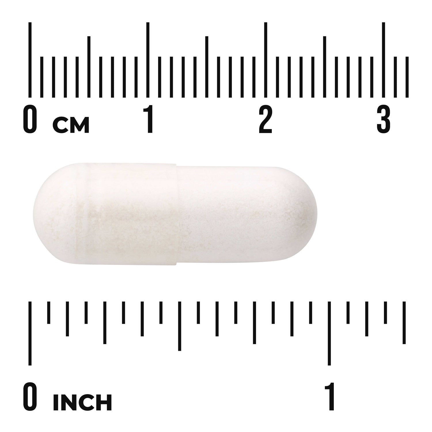SW1545 | White capsule with size reference, centimeter and inch rulers shown