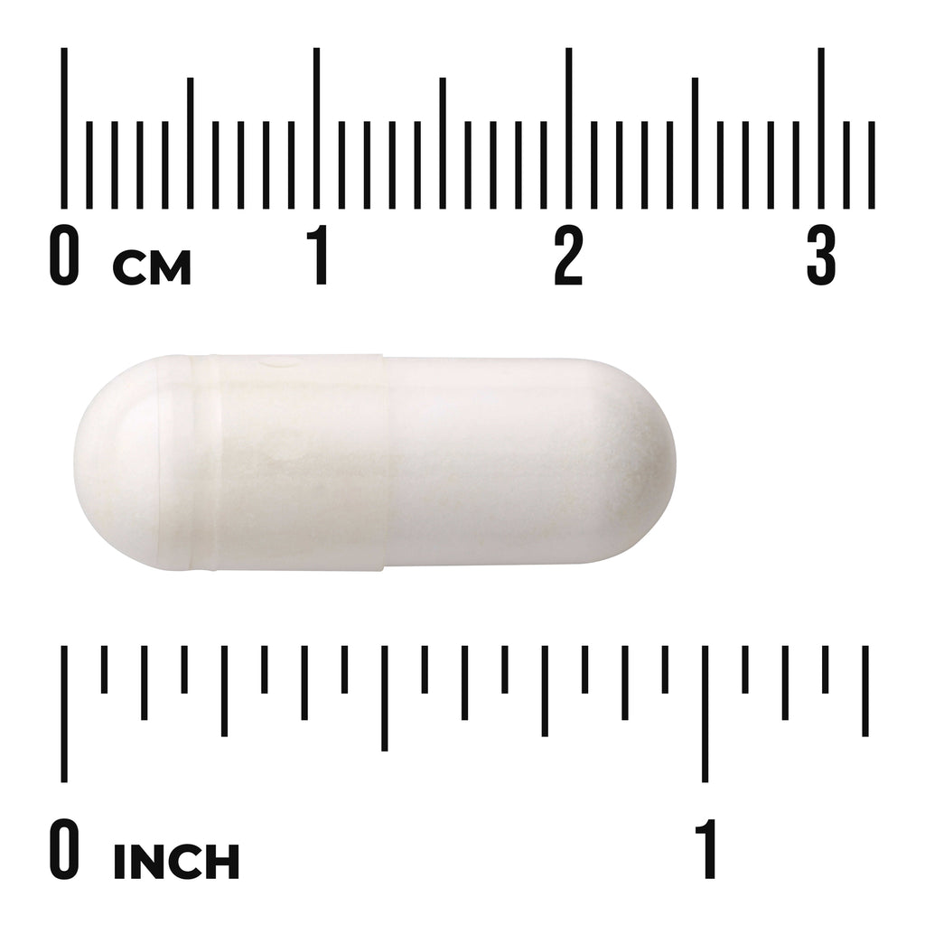 SW065 | White capsule displayed on centimeter and inch rulers for size reference - Thumbnail