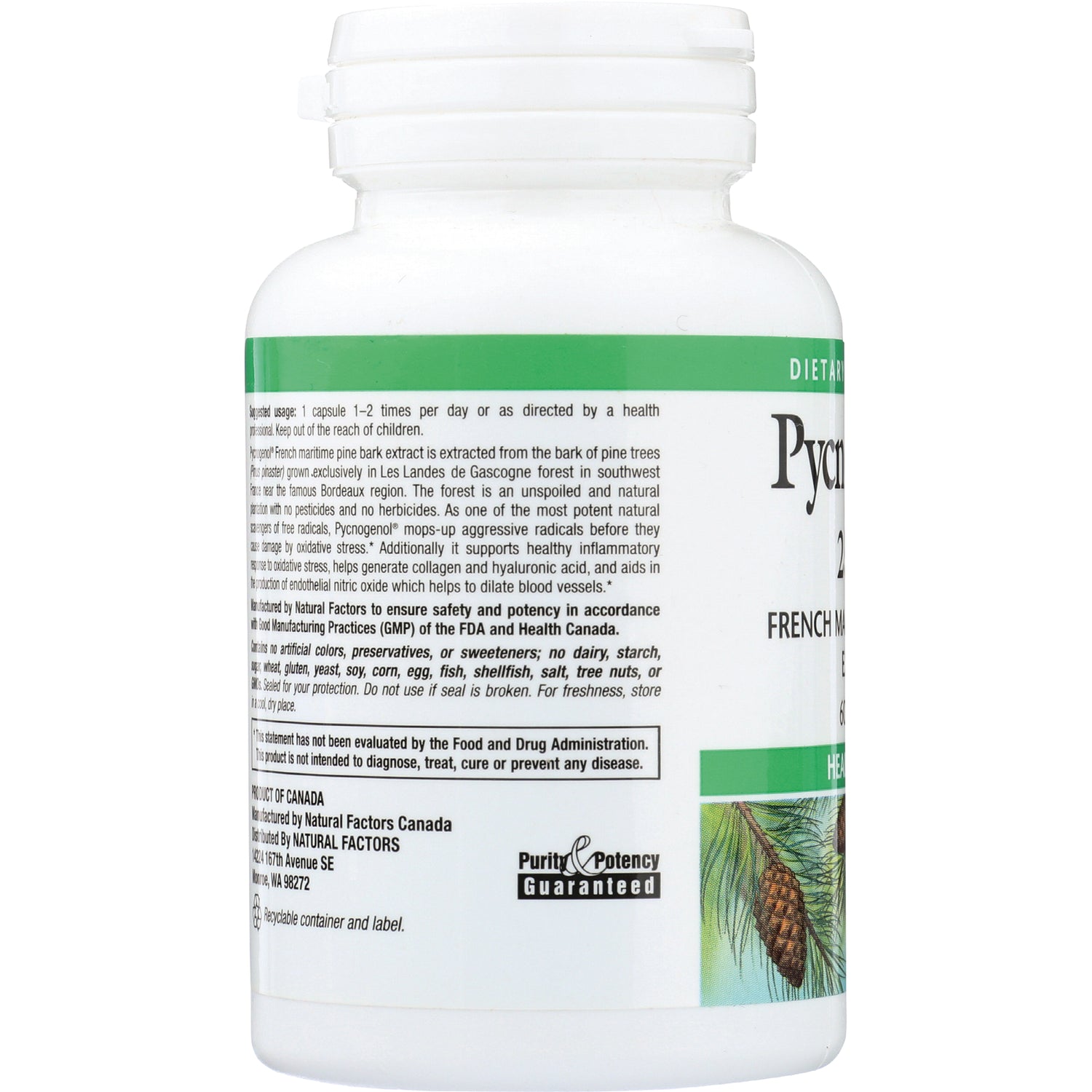 NFC147 | back label showing ingredient and usage text with pine cone illustration