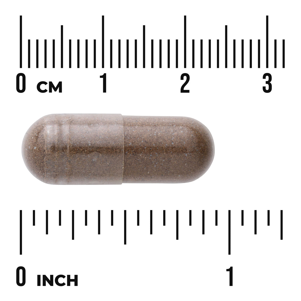 SW1652 | Brown capsule with size reference in cm and inches - Thumbnail
