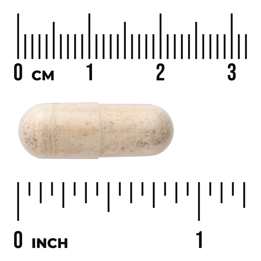 SW1290 | Beige supplement capsule with centimeter and inch rulers showing size (visible text: 0 cm, 0 inch) - Thumbnail