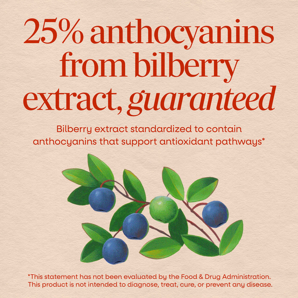 NW513 | 25% anthocyanins from bilberry extract, guaranteed, with bilberries and antioxidant support text - Thumbnail