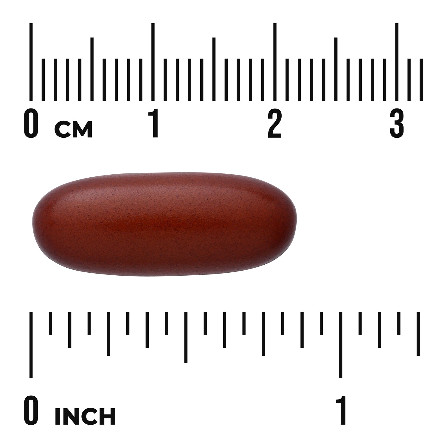 SWU460 | Brown oblong caplet shown with cm and inch rulers for size