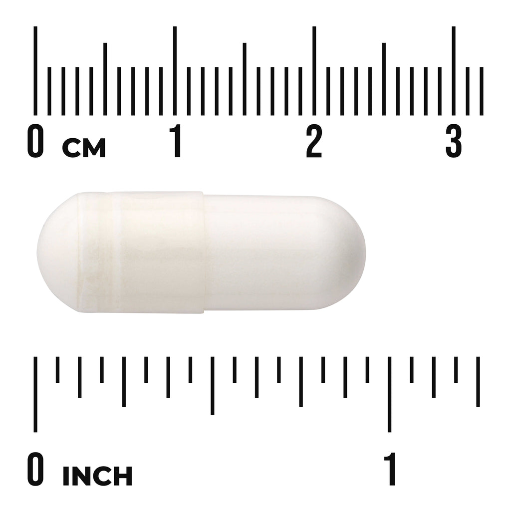 SW1810 | White capsule on metric and inch rulers showing size about 2.5 cm (1 in) - Thumbnail