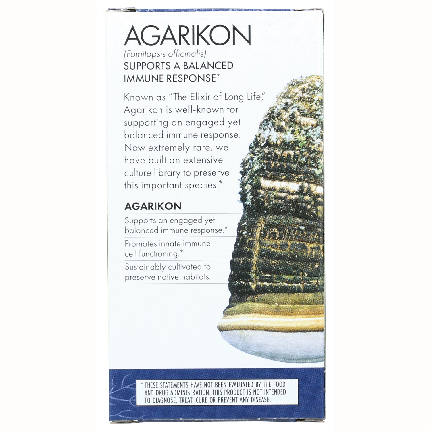 FUN041 | Agarikon product infographic panel with product description, benefits text and mushroom illustration