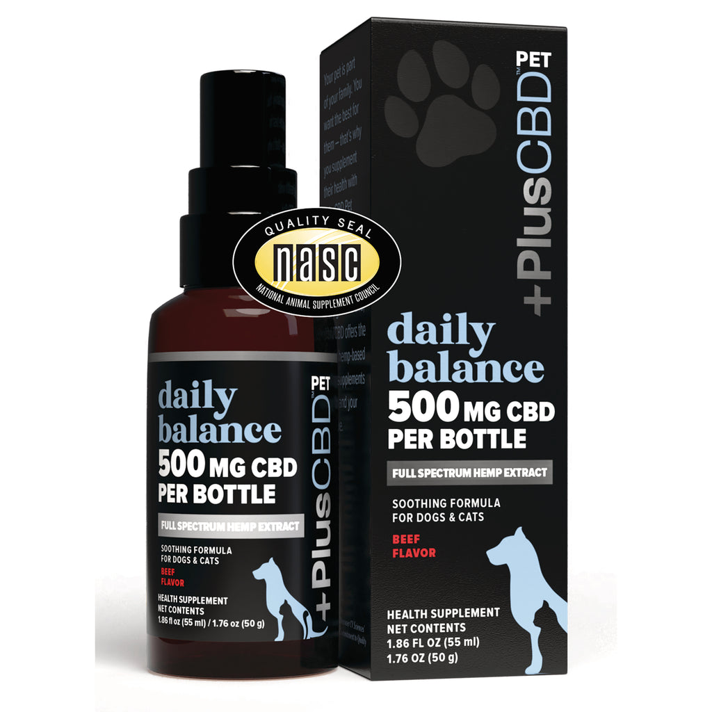 CV029 | bottle and box of Daily Balance 500 mg CBD pet supplement, beef flavor, full spectrum hemp extract - Thumbnail