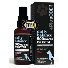 CV029 | bottle and box of Daily Balance 500 mg CBD pet supplement, beef flavor, full spectrum hemp extract