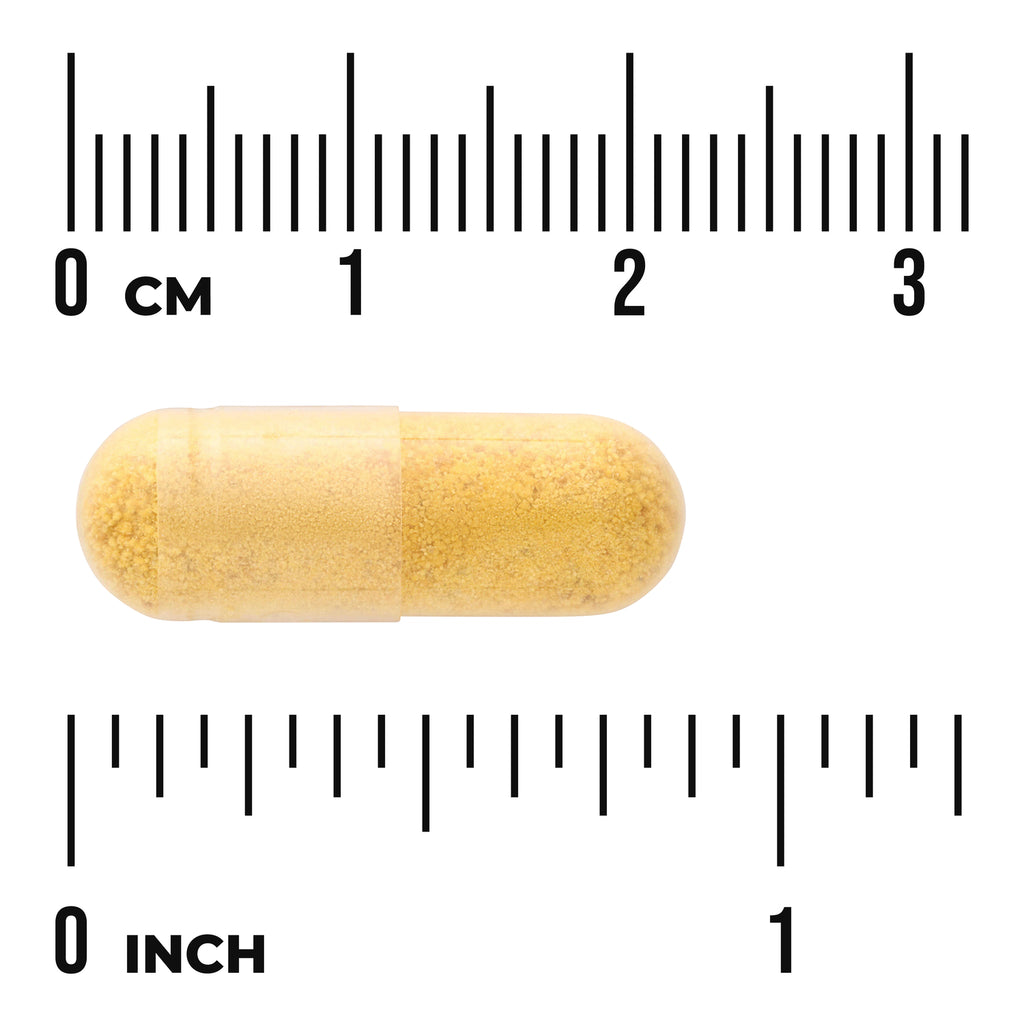 SW316 | Transparent yellow capsule with granular filling shown against centimeter and inch rulers, visible text '0 CM' and '0 - Thumbnail