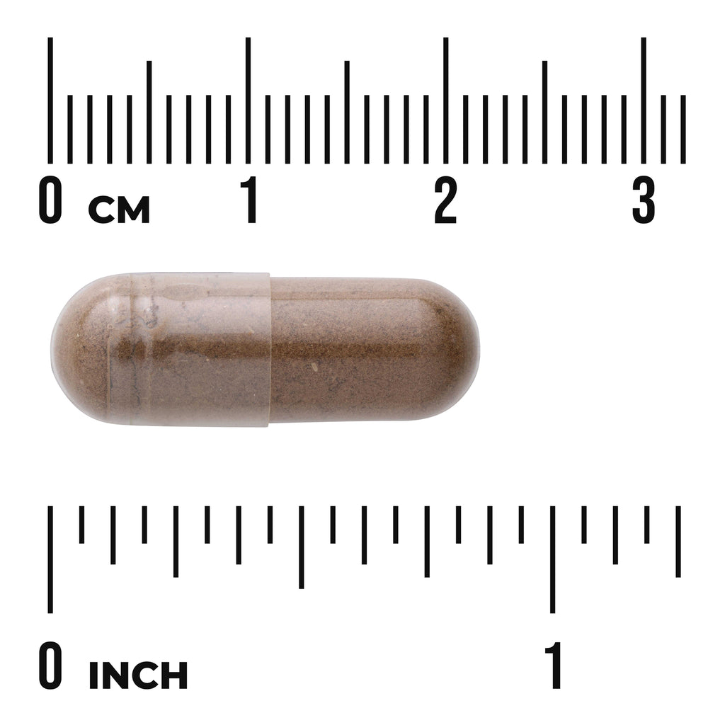 SW506 | Brown capsule with powder shown next to cm and inch rulers for size reference - Thumbnail