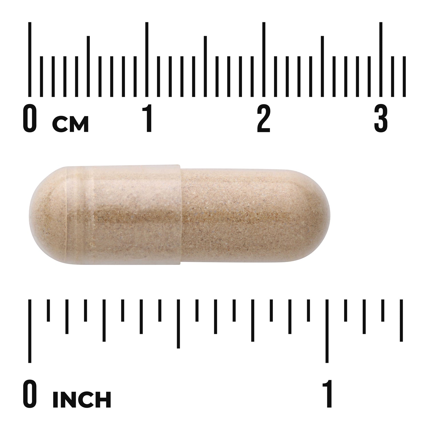 SW512 | Beige capsule with powder, shown next to cm and inch ruler for size