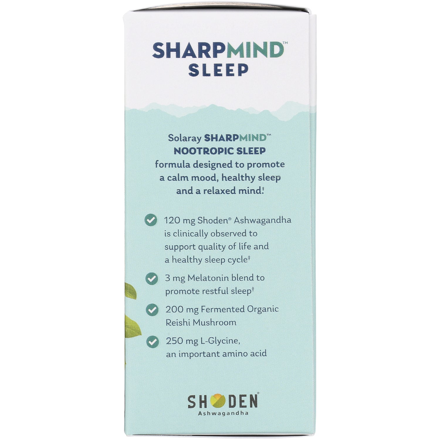 SLR488 | SharpMind Sleep infographic with Shoden Ashwagandha 120 mg, Melatonin 3 mg, Reishi 200 mg, L-Glycine 250 mg