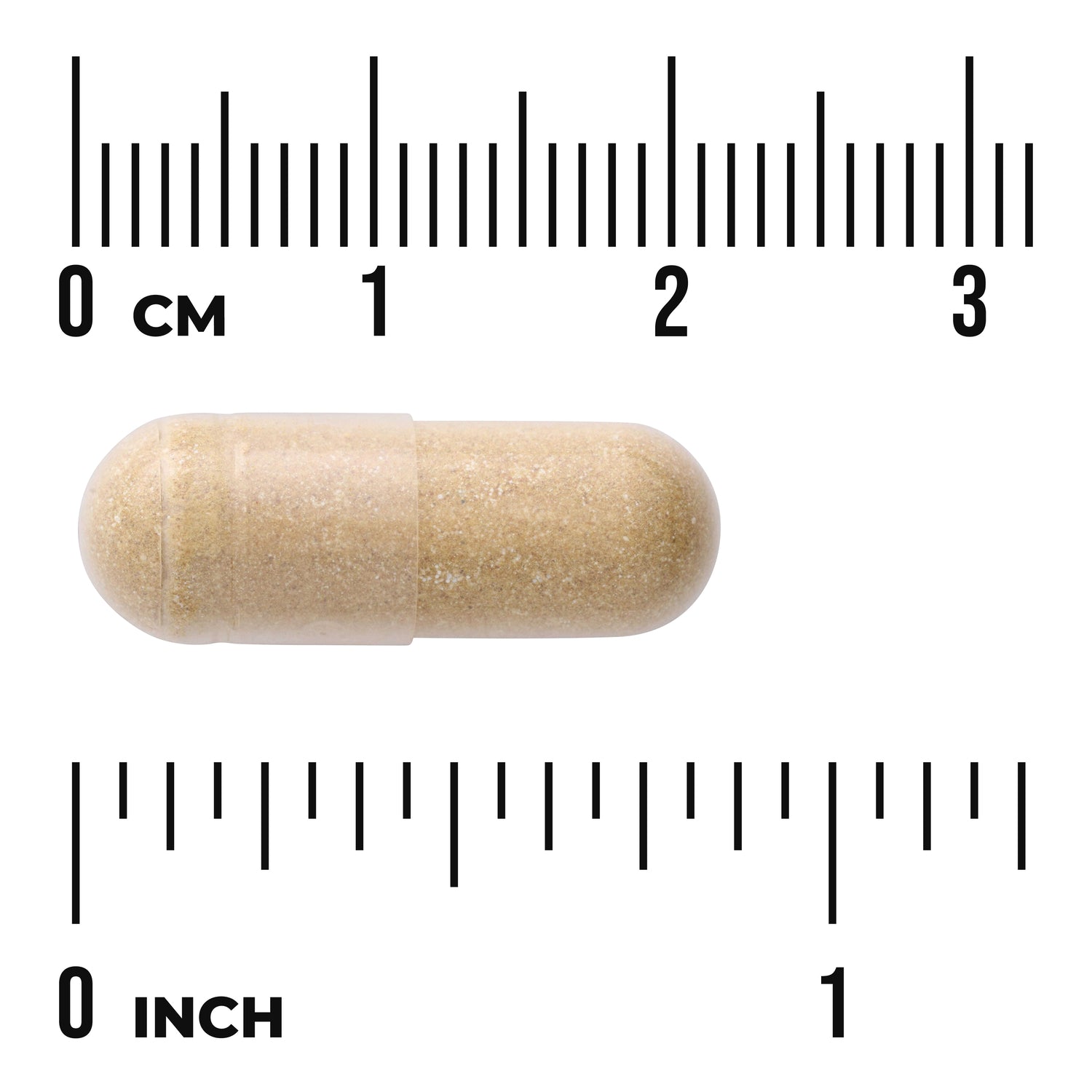 SW1616 | Beige capsule with centimeter and inch rulers showing size, about 2 cm long