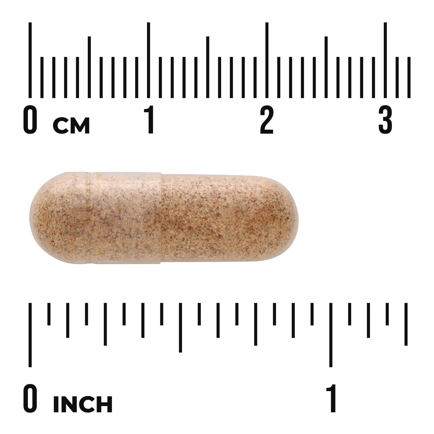 SW1059 | Brown capsule with centimeter and inch rulers for size reference