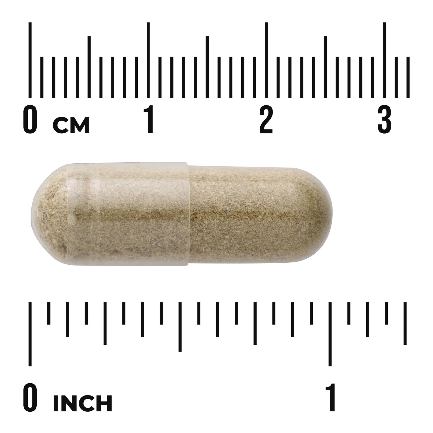 SW1280 | Clear capsule filled with beige powder between centimeter and inch rulers showing about 1 inch (2.5 cm) length